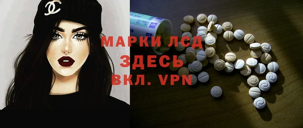твердый Бородино