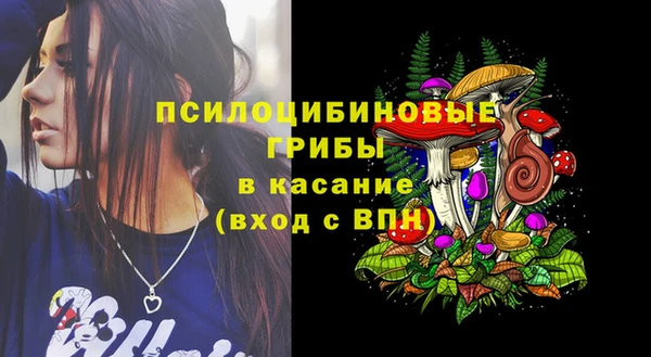 соль ск Верхнеуральск
