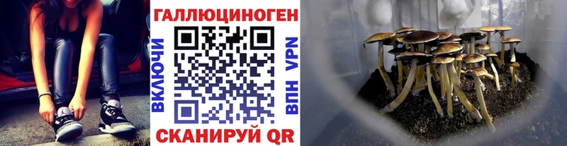 Псилоцибиновые грибы GOLDEN TEACHER  Купить где  Нижнеудинск 